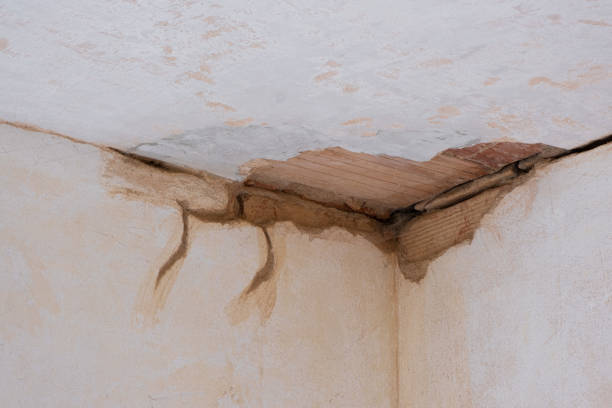 Best Residential water damage restoration  in Cloverport, KY