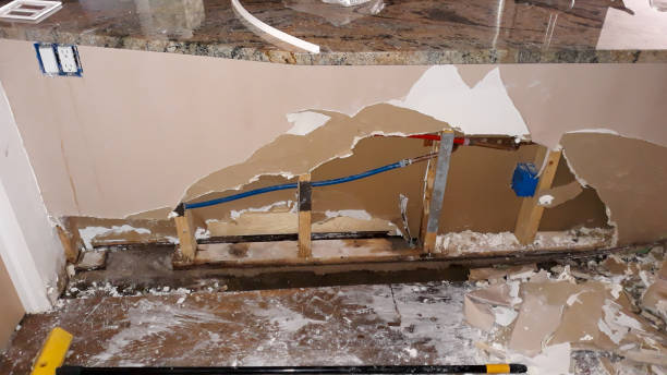Best 24/7 water damage repair  in Cloverport, KY