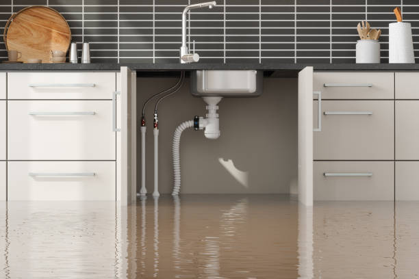 Best Carpet water damage restoration  in Cloverport, KY
